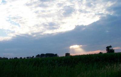 sunset behind trees in clouds